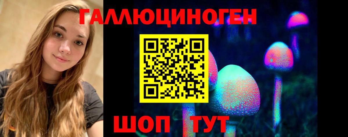 Салехард  Псилоцибиновые грибы ЛСД  Псилоцибиновые грибы ЛСД  Вход с VPN 